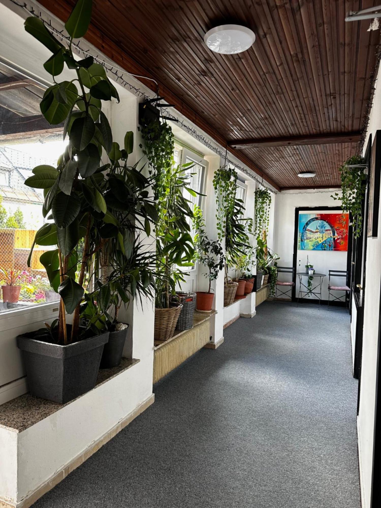 Hostel Lovely Rooms, City Center, Shared Bathroom, Windows To Corridor Villach Kültér fotó
